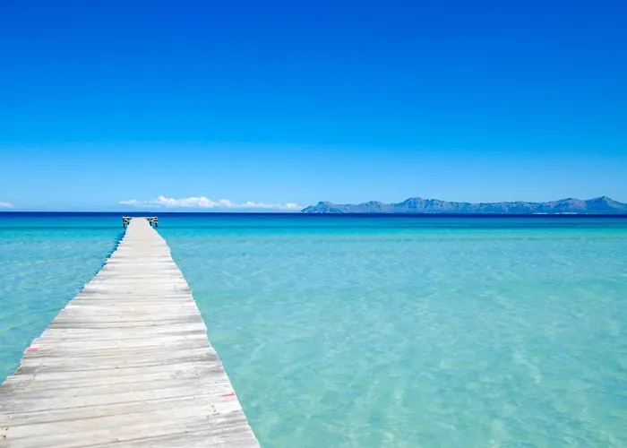 Yourhouse Ca Na Xisca